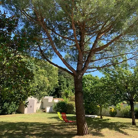 Beautiful 4 In Lejlighed